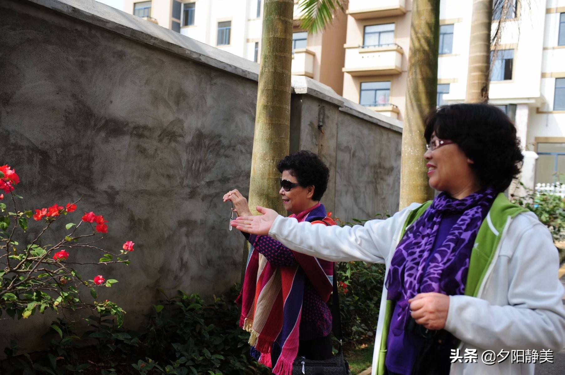 我的海南之旅全集,海南天赐上湾怎么样