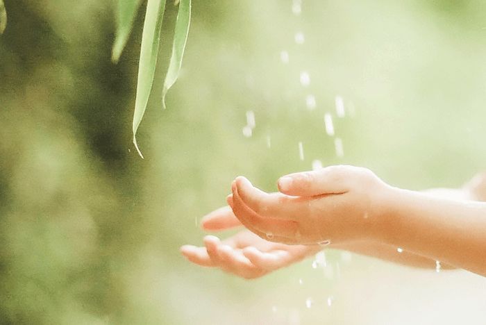 大暑的五种美,小暑的七种食物