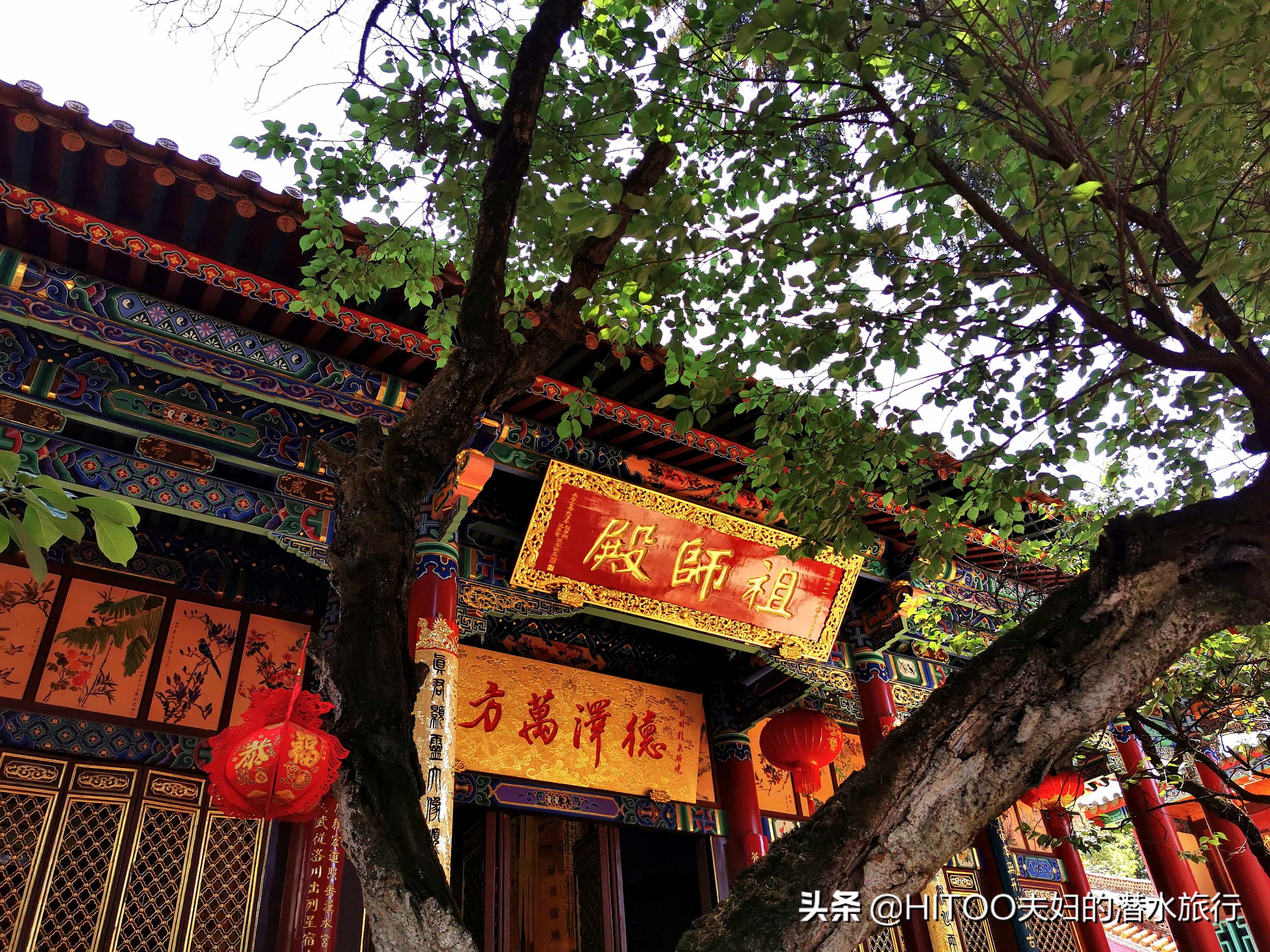 先有黑水祠，再有昆明城，来黑龙潭看奇景异木|自驾游记4