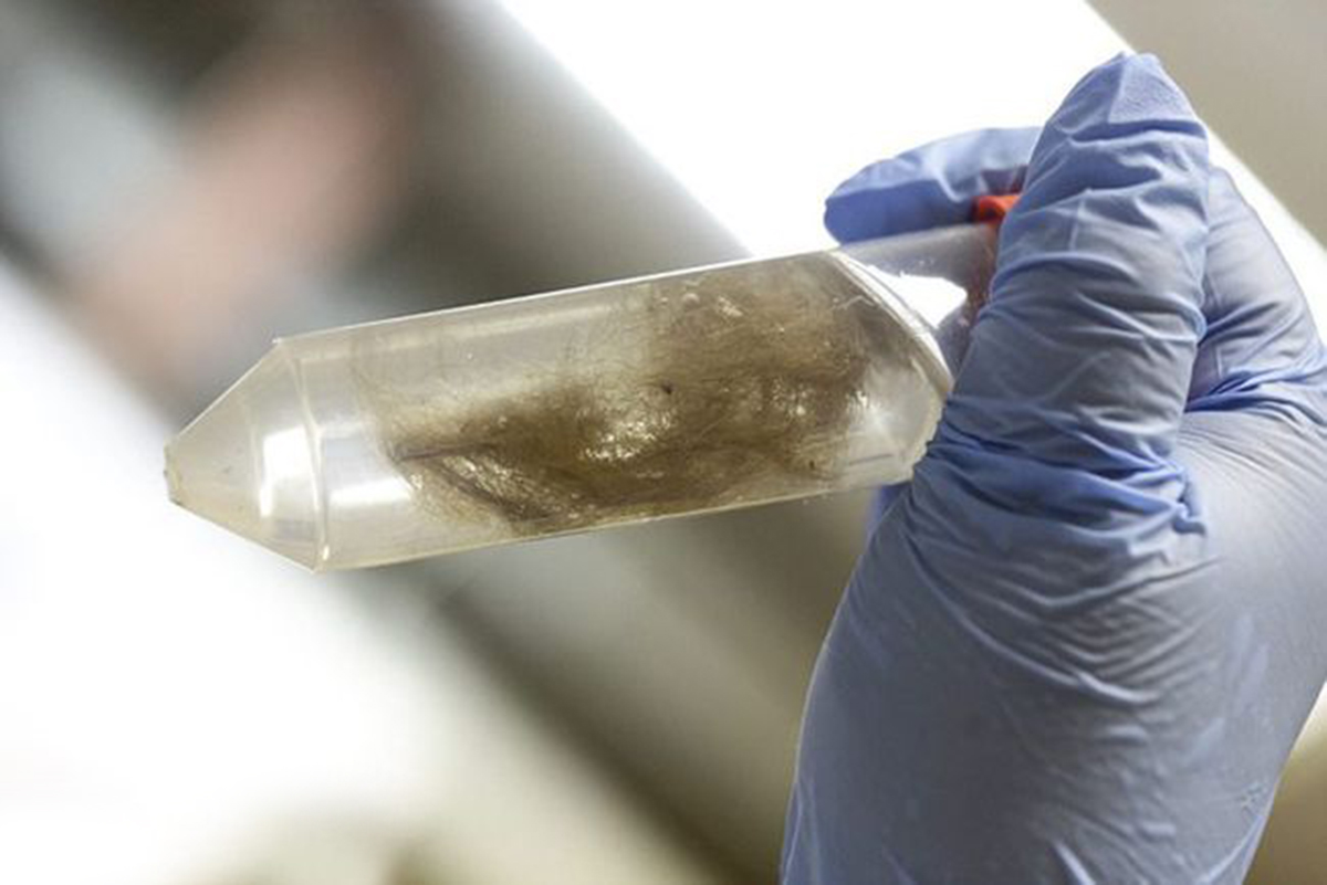 潘多拉动物盒子,潘多拉盒里面的黑色怪物