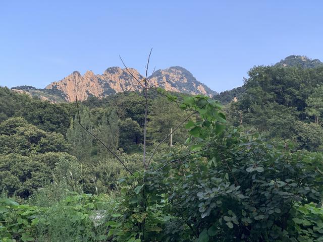 小三怀孕敲诈男方财产犯法吗,小三以孩子勒索钱财违法吗