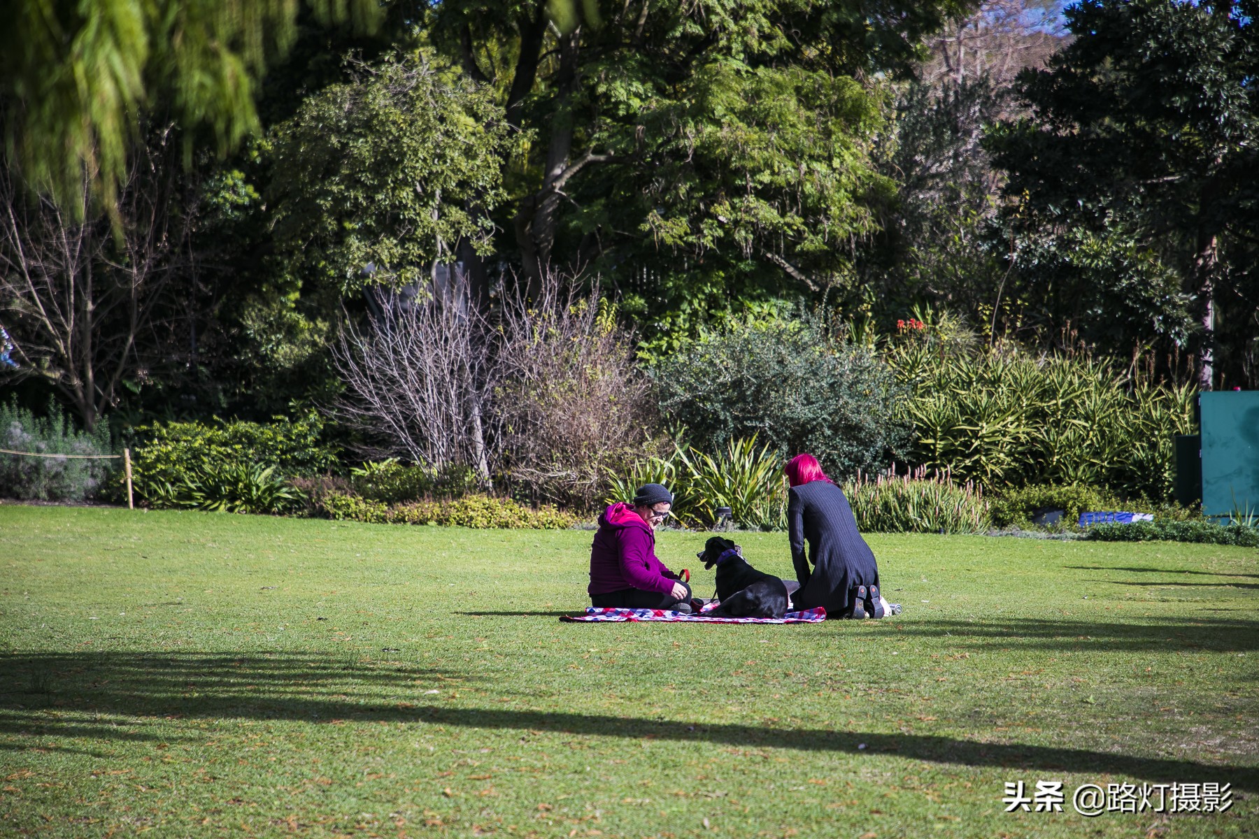 国外有没有禁止踩踏草坪,为什么国外草坪可以随便踩