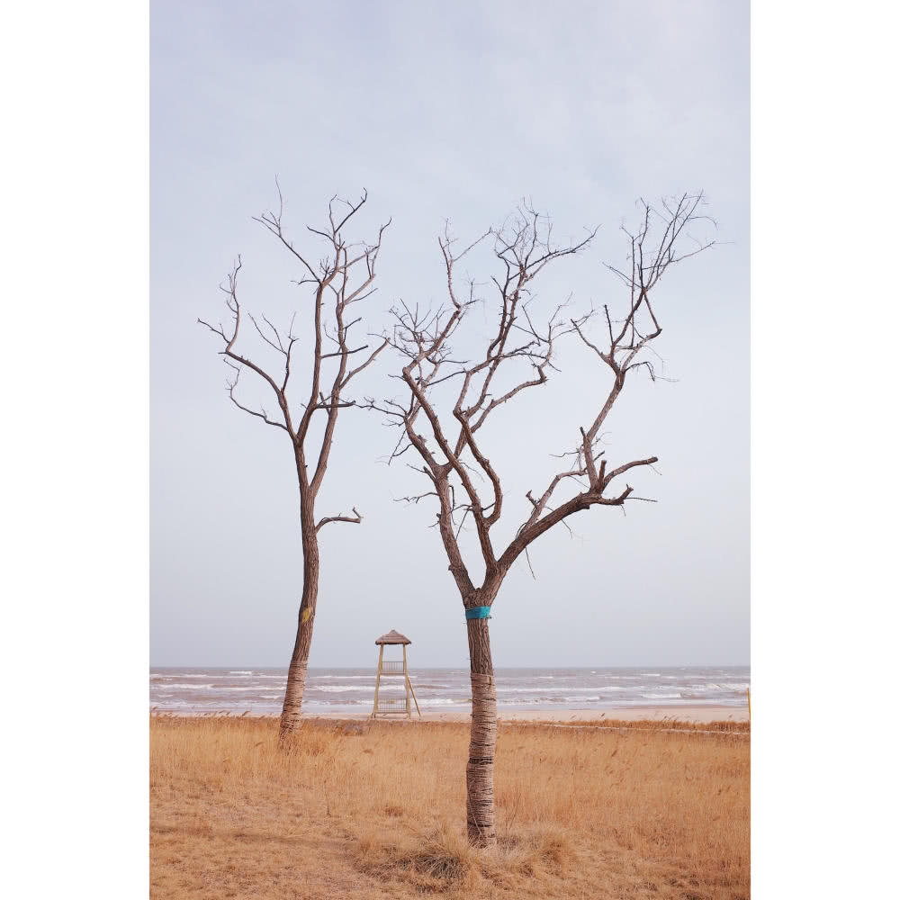 秦皇岛海边美不美,秦皇岛北戴河的大海真是太美了