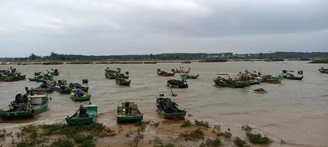 又惨烈受伤!单个养户1000万元石斑或被狂风巨浪卷走,倒灌缺堤