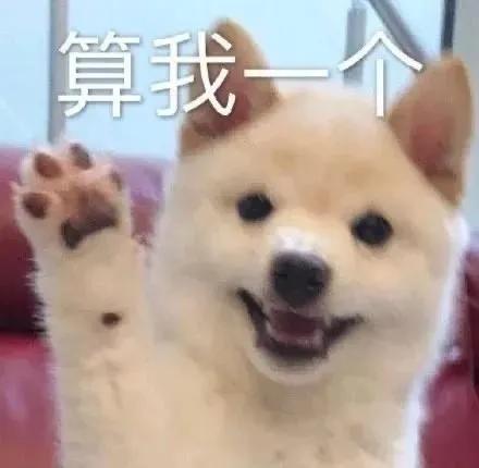 狗狗走丢了可以报警吗,狗狗走丢了会自己回来吗