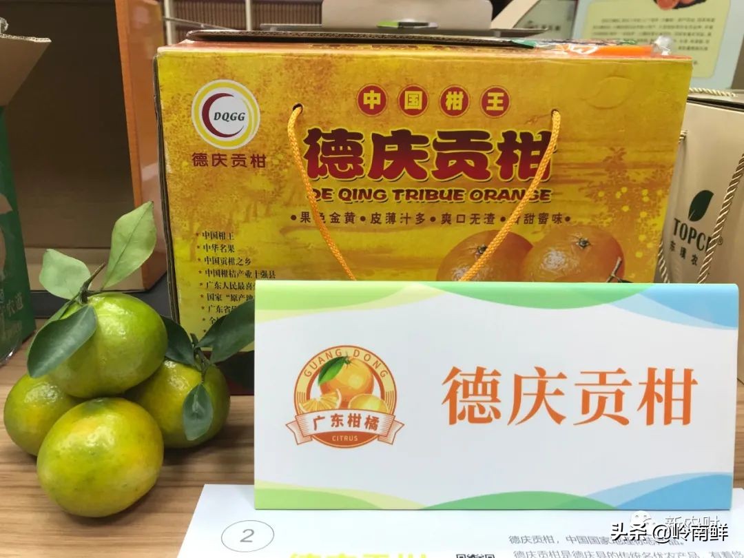 广州柑橘批发市场行情,广东柑橘市场今日行情