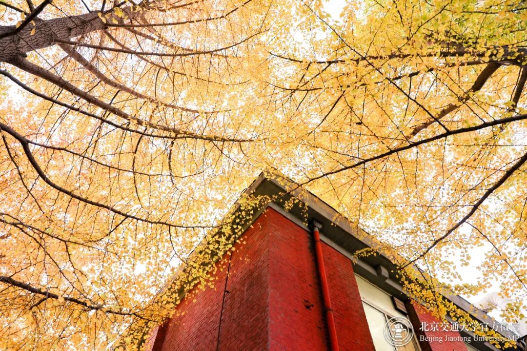 等你！交大气味图书馆，今日“开放”