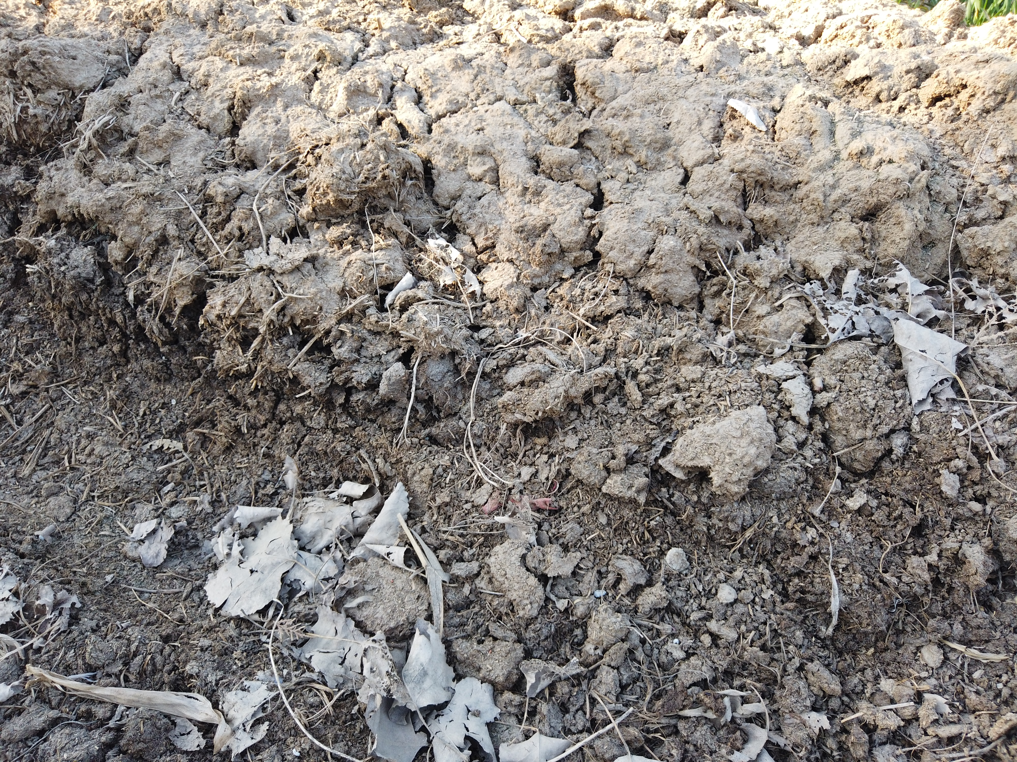 种植蔬菜瓜果多久使用肥料,饼肥磨碎能直接种植蔬菜吗