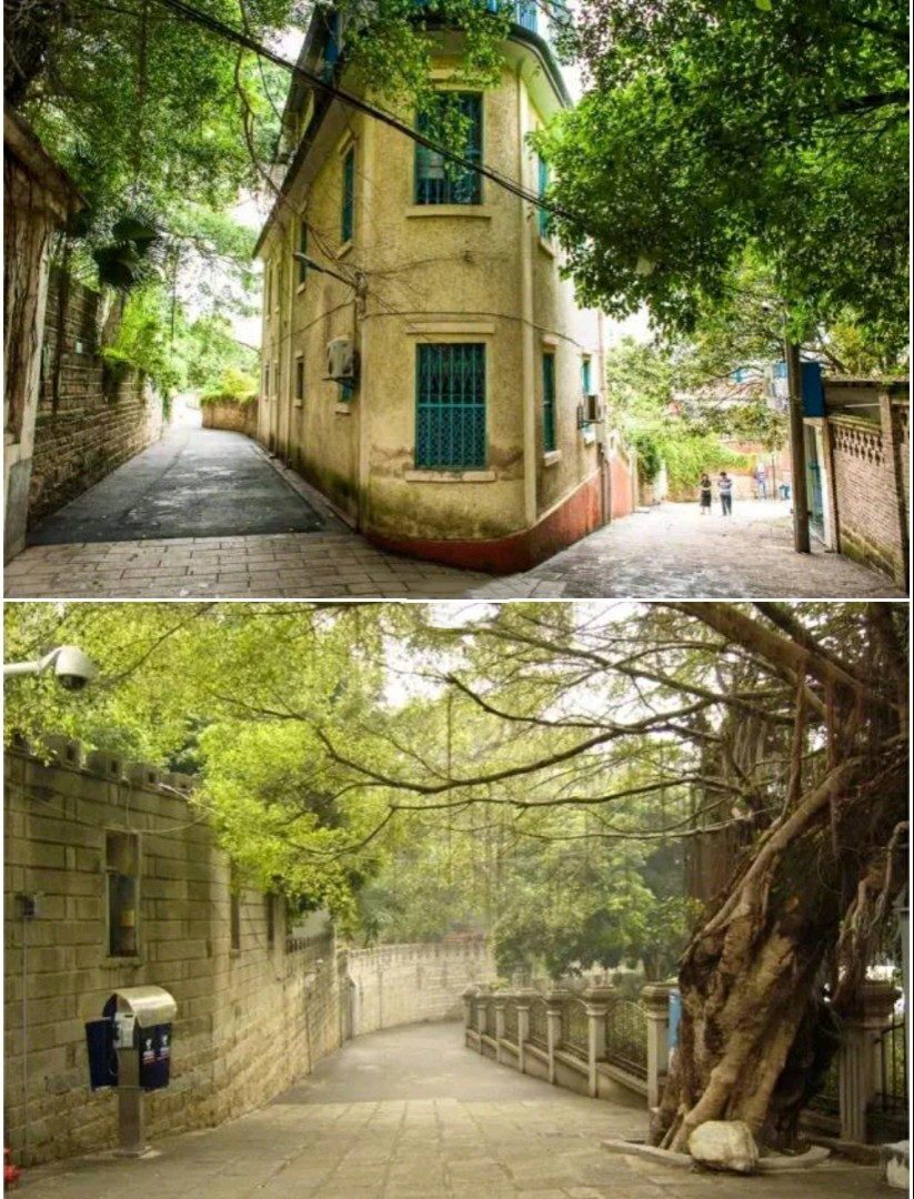 鼓浪屿上岛攻略路线,鼓浪屿攻略上岛路线推荐蜡像馆