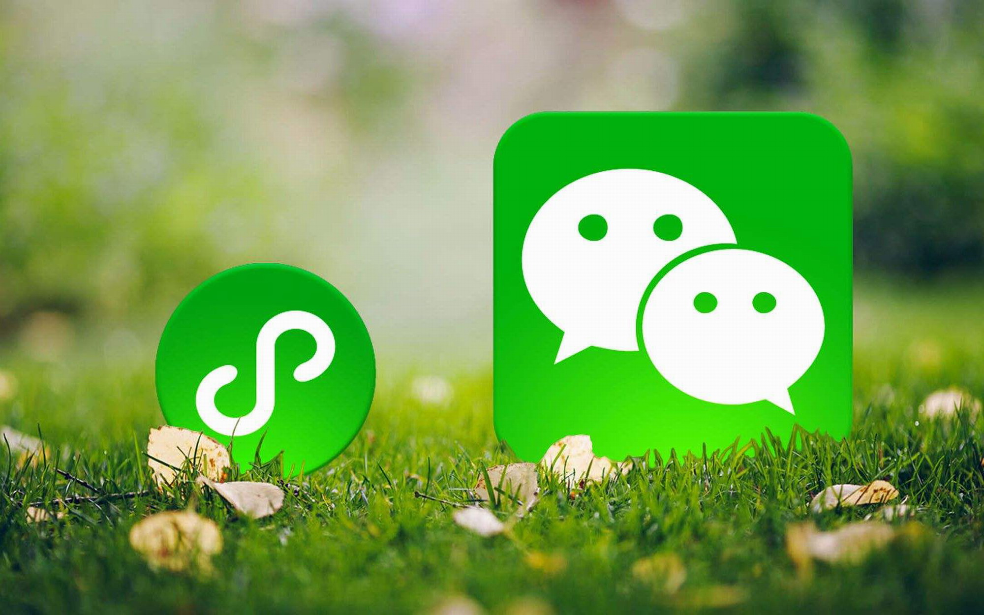 微信怎么查看微信支付安全不安全,微信支付功能限制怎么把钱转出来