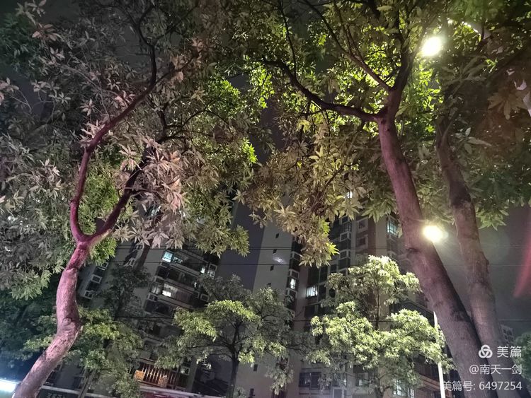 霜降粤语歌曲,霜降翻唱版