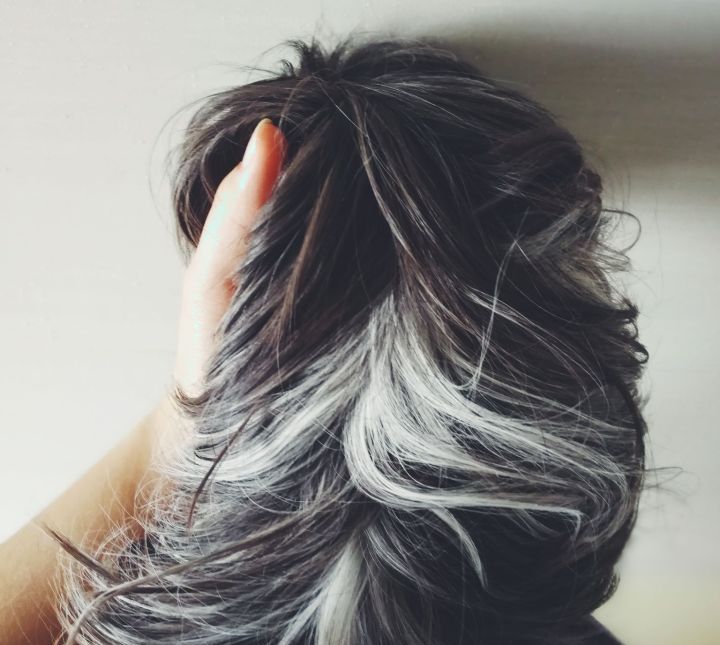 豚鼠长相呆萌可爱,可爱的小豚鼠