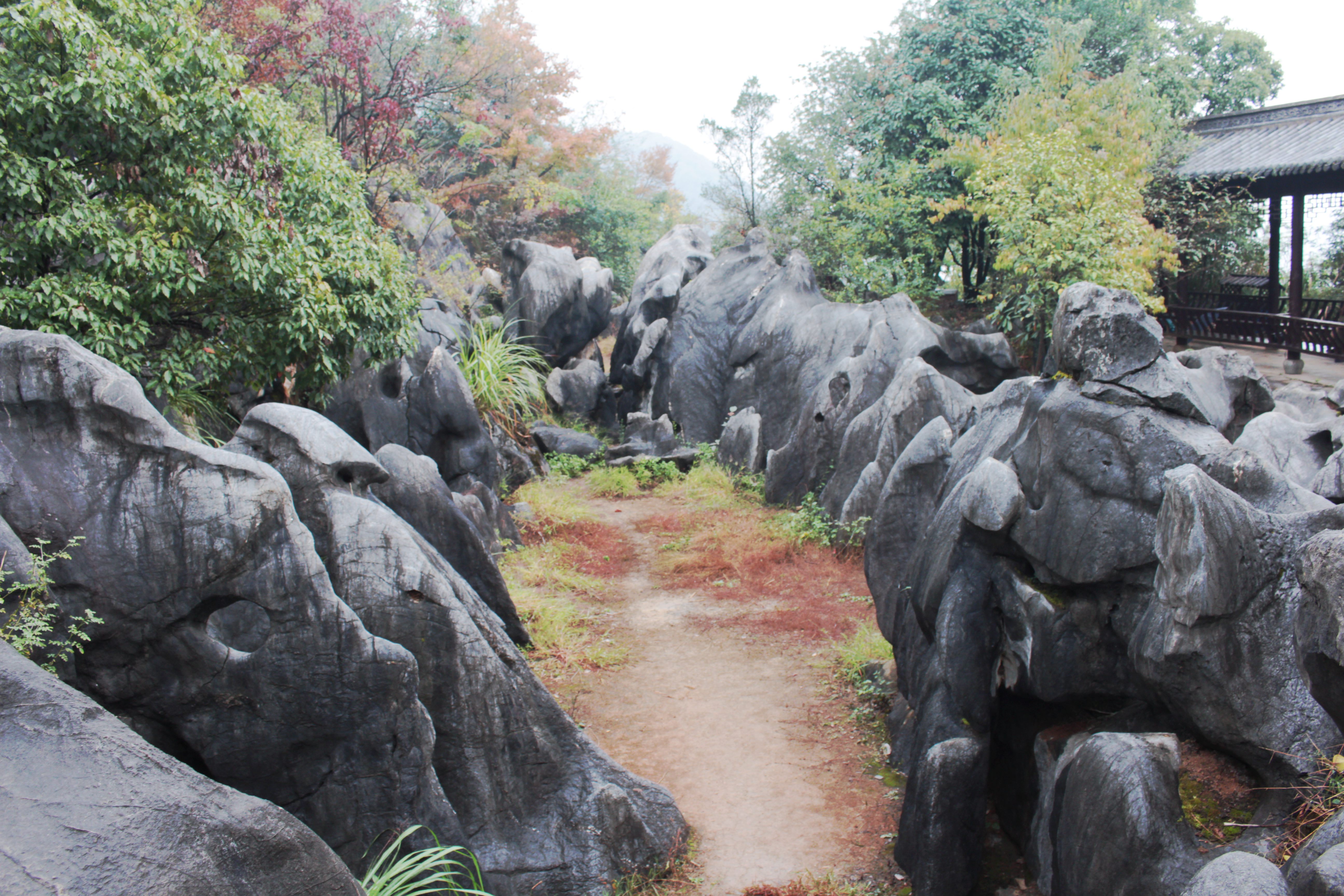现在浙江最火的一个免费景点,浙西景区