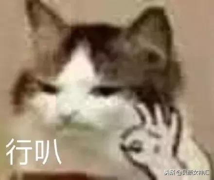 真人试色红棕色,真人试色阿玛尼梅子色口红