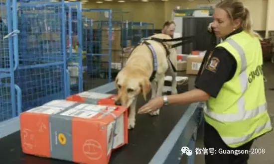 「热点」小留下机就被遣返！只因包里放了这些……