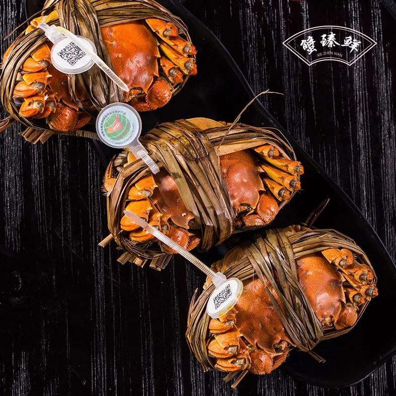 阳澄湖大闸蟹开湖活动,阳澄湖大闸蟹已进入最佳赏味期