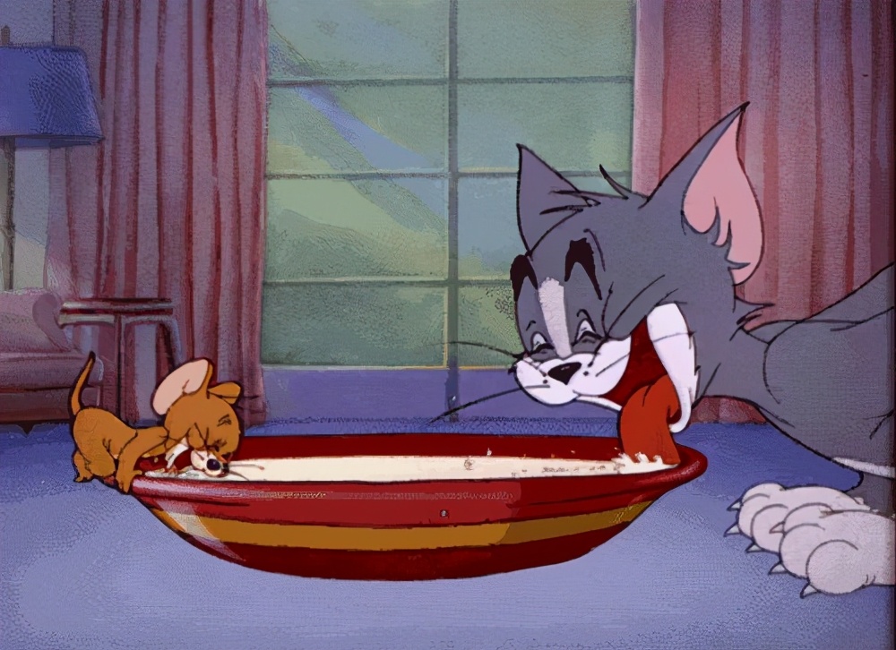 wildfieldhealth蛋白粉测评,wildfieldhealth牌子如何