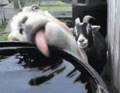 那些年骗了我们很久的生理知识,那些骗了我们很多年的护肤方法