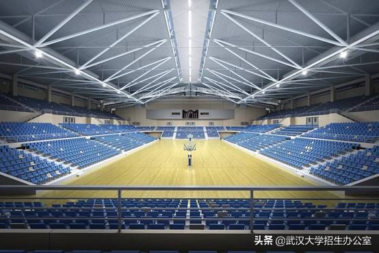 投资3亿的体育馆,投资300亿建大学