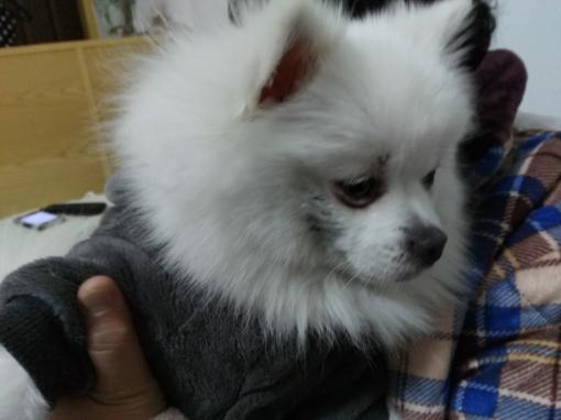 拥有五星级床品，在家的每一天都是度假