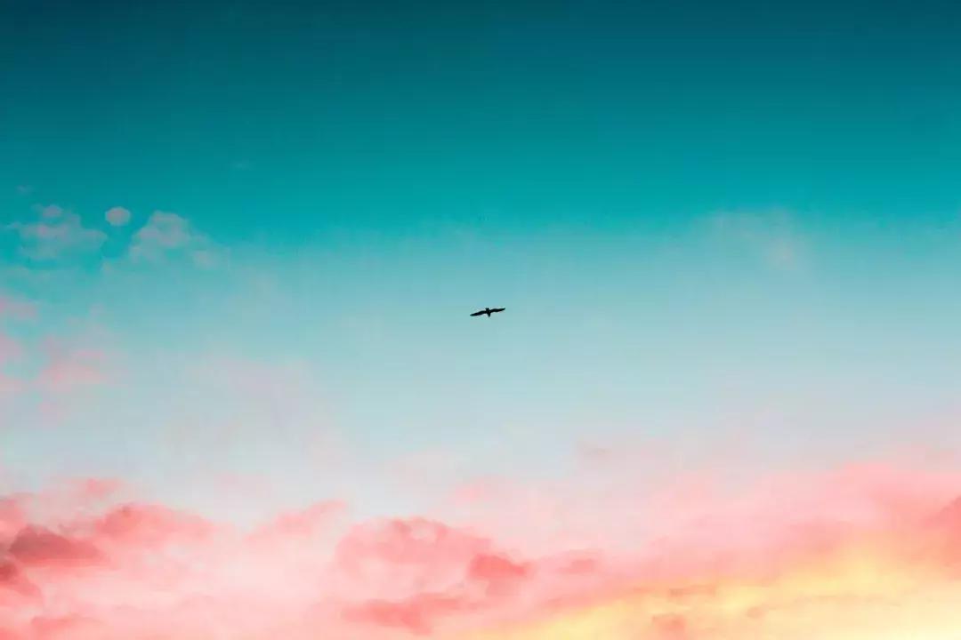 win8.1为什么没人用呢？