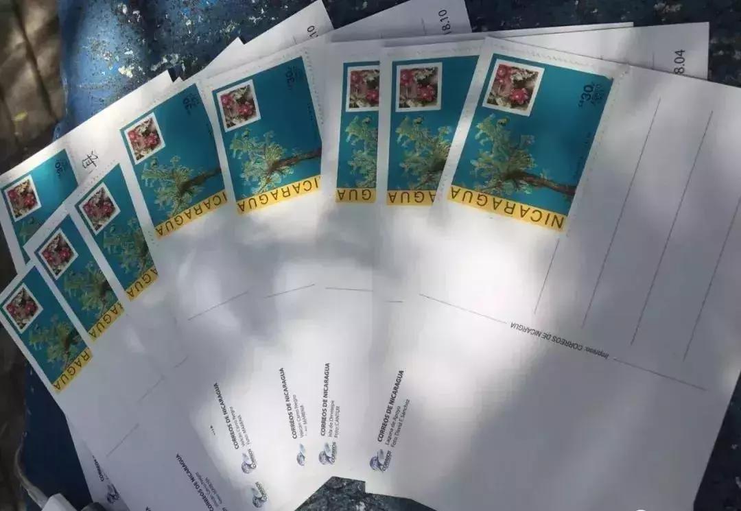 他骑行27个国家,他7年环游中国18万公里绕赤道4圈