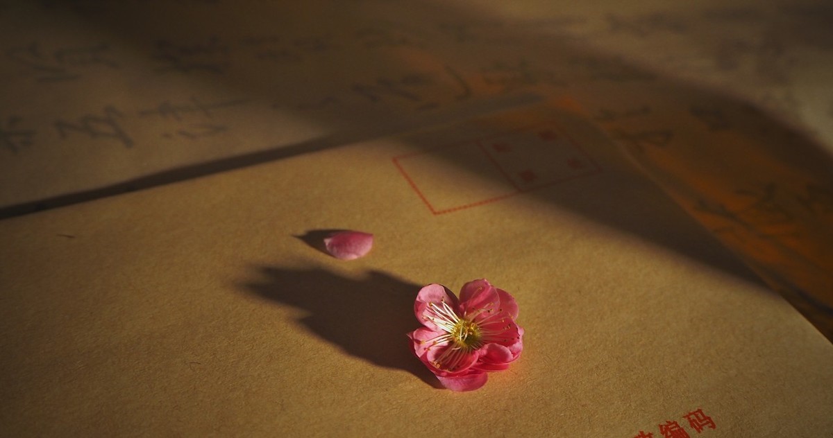 网店副业拼多多商机,闲鱼和拼多多怎样做副业