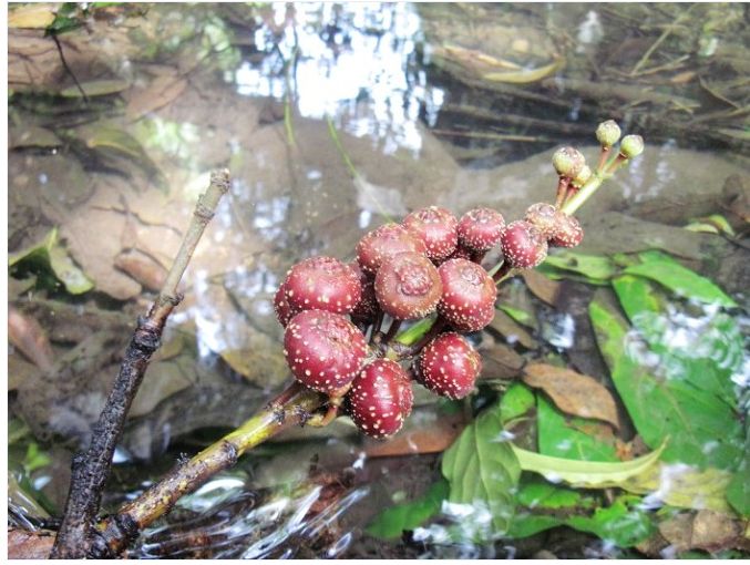 屋后坟门前水,屋后水不归有什么说法