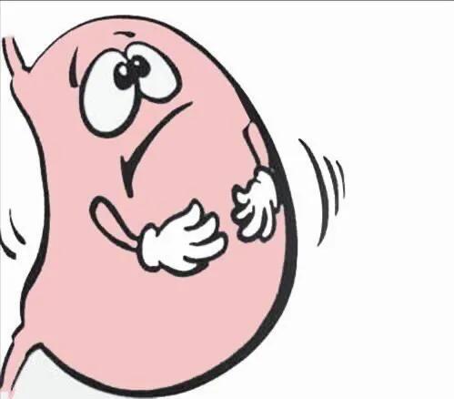 钙尔奇和朗迪哪个补钙效果好,钙尔奇跟朗迪哪个更好