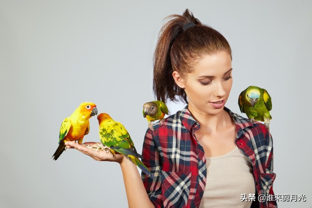 长发夏季如何扎出凉爽的发型,短发夏季清爽版扎发