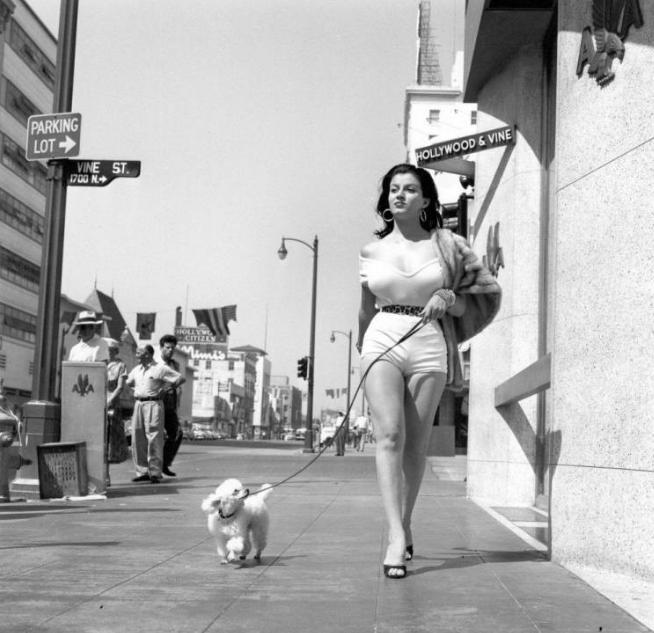 历史上真实的50张老照片,历史上一些令人震撼的老照片