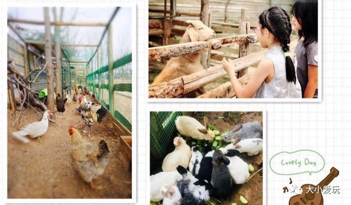 北京野游烧烤好去处,北京可以野外可以烧烤的地方