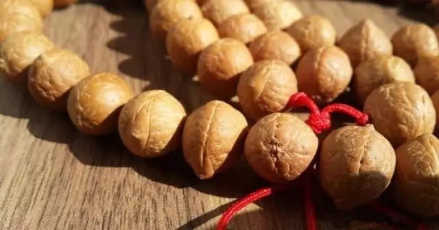 凤眼菩提的眼睛,尼泊尔凤眼菩提眼睛都是凸起来的