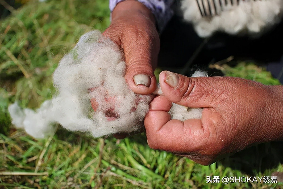 比羊绒更保暖的是什么,比羊绒还细的羊毛