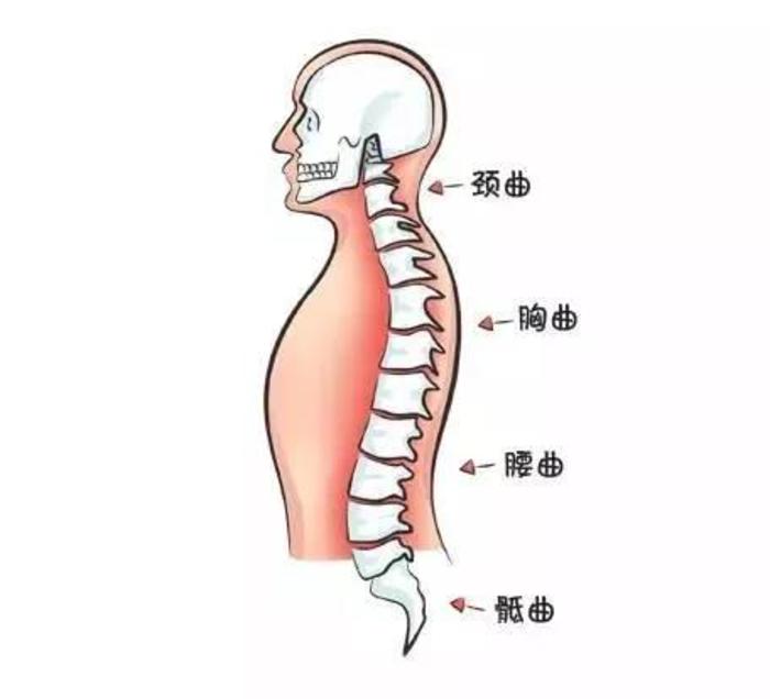 颈椎生理曲度消失,颈椎生理曲度消失怎么办