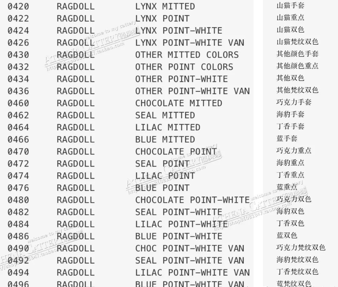 猫咪cfa血统证书含金量高么,猫咪要选有血统证书的吗