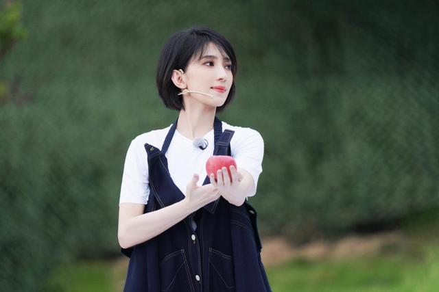 戴佩妮个人情感,歌坛才女戴佩妮