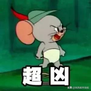 鏅氫笂鐫¤绐佺劧琚汉鎶撲激,瑗垮畨25宀佸コ瀛╄鐚姄浼ゅ悗姝讳骸