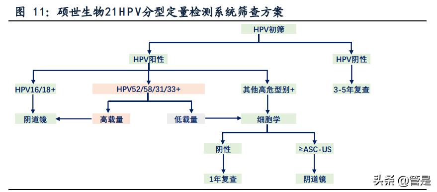 硕世生物专题报告：疾控领域领先企业，后疫情时代突出受益