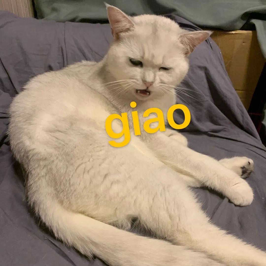 微信什么时候开始可以改微信号,微信改微信号对方会知道吗