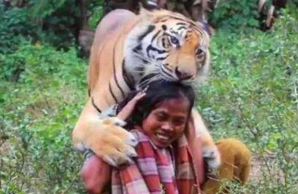 女子放生老虎5年后相遇视频,国外一男子放生老虎5年后相遇