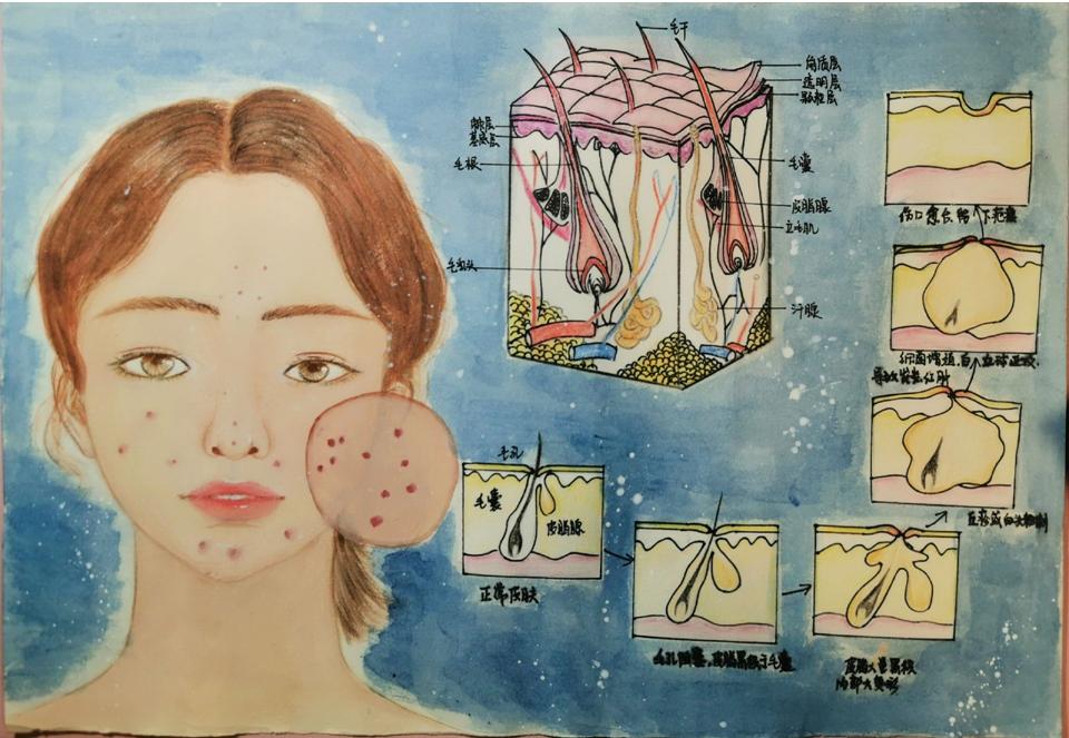 生命的故事绘本电子版,生命的故事图片