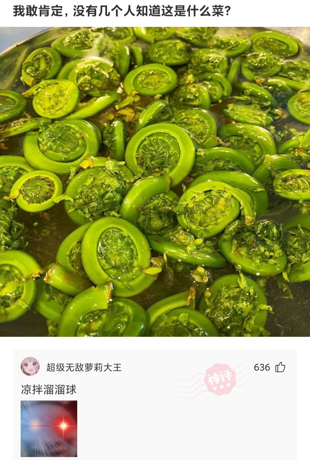 每日一笑：有句骂人的话，一辈子吃不上四个菜，这四个菜是什么？