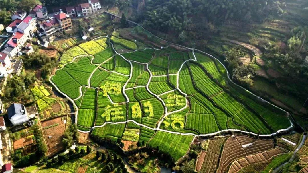 震撼！钱塘江畔出现巨型画作，有28个足球场这么大！