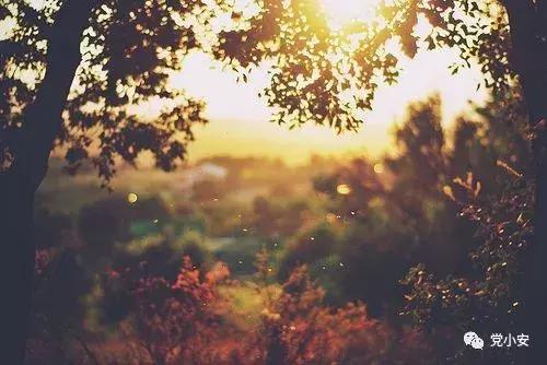 治安警察支队的一天,治安警的一天