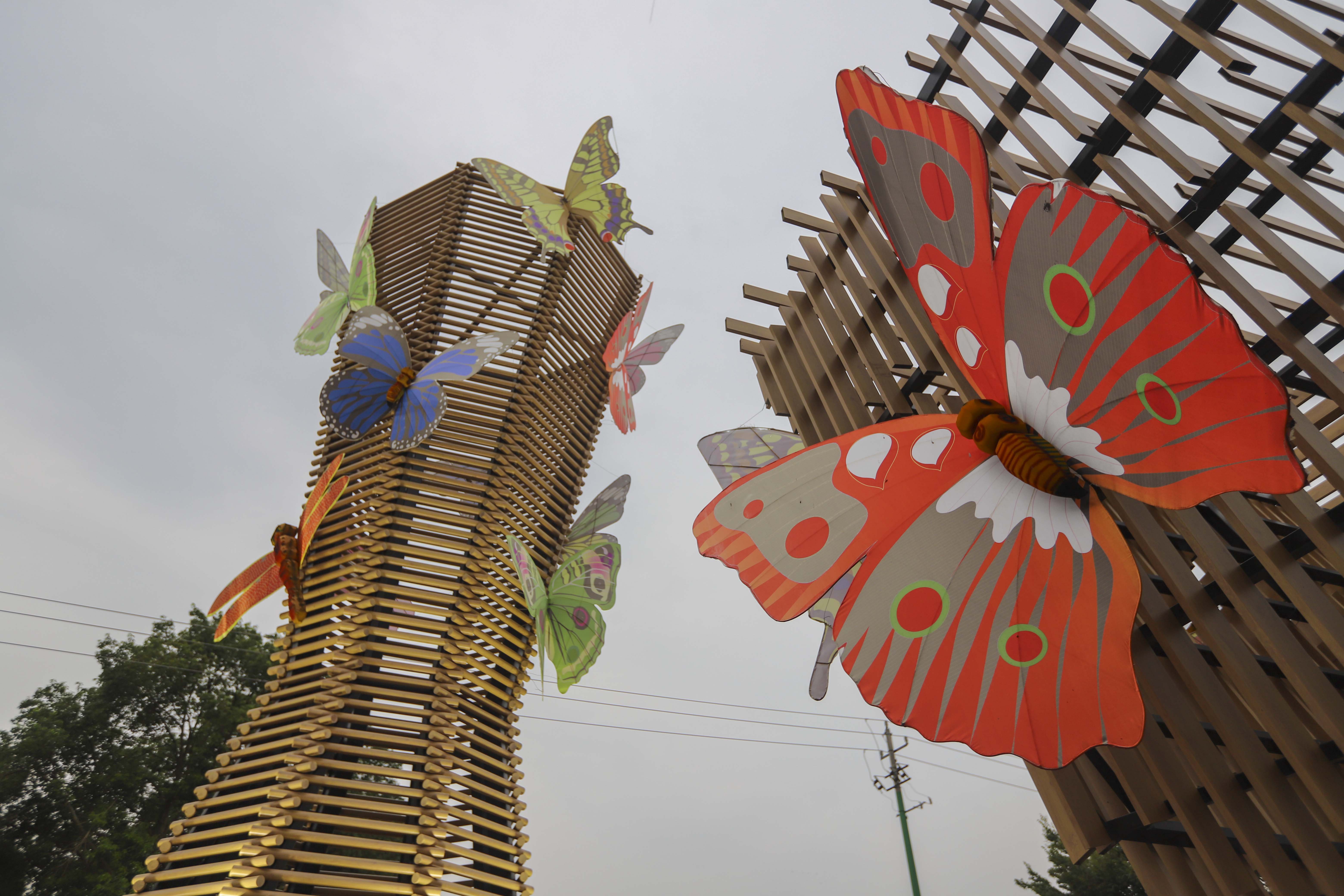 良田沃野蝶飞蜂拥，溧阳网红庆丰村的C位出道之路，果然迷人诱人