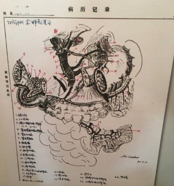 一句话证明北京协和有多厉害,北京协和最厉害的是哪个