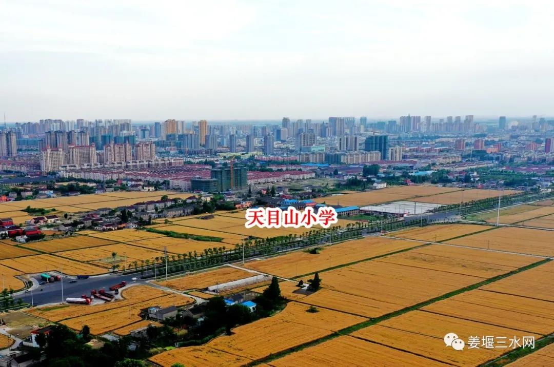 姜堰区学校规划,泰州姜堰新建小学