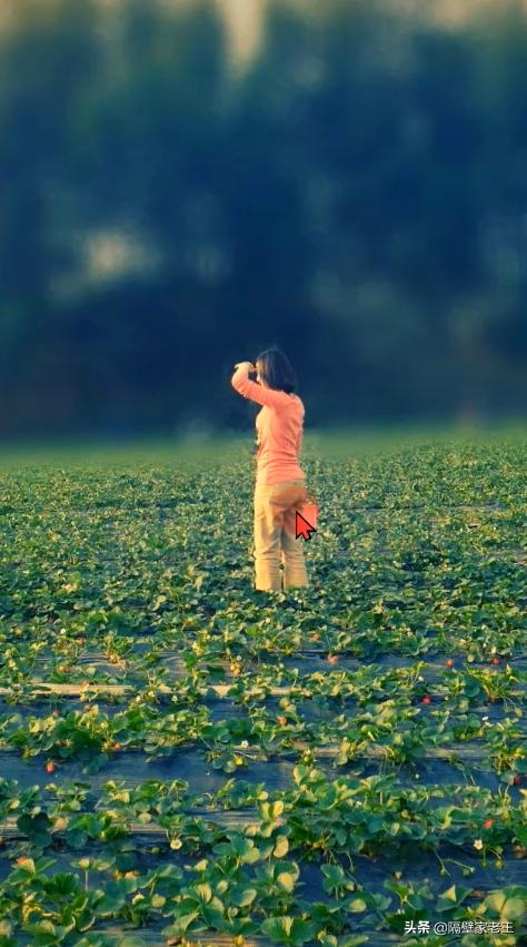 微信小窍门100个,微信小技巧100例