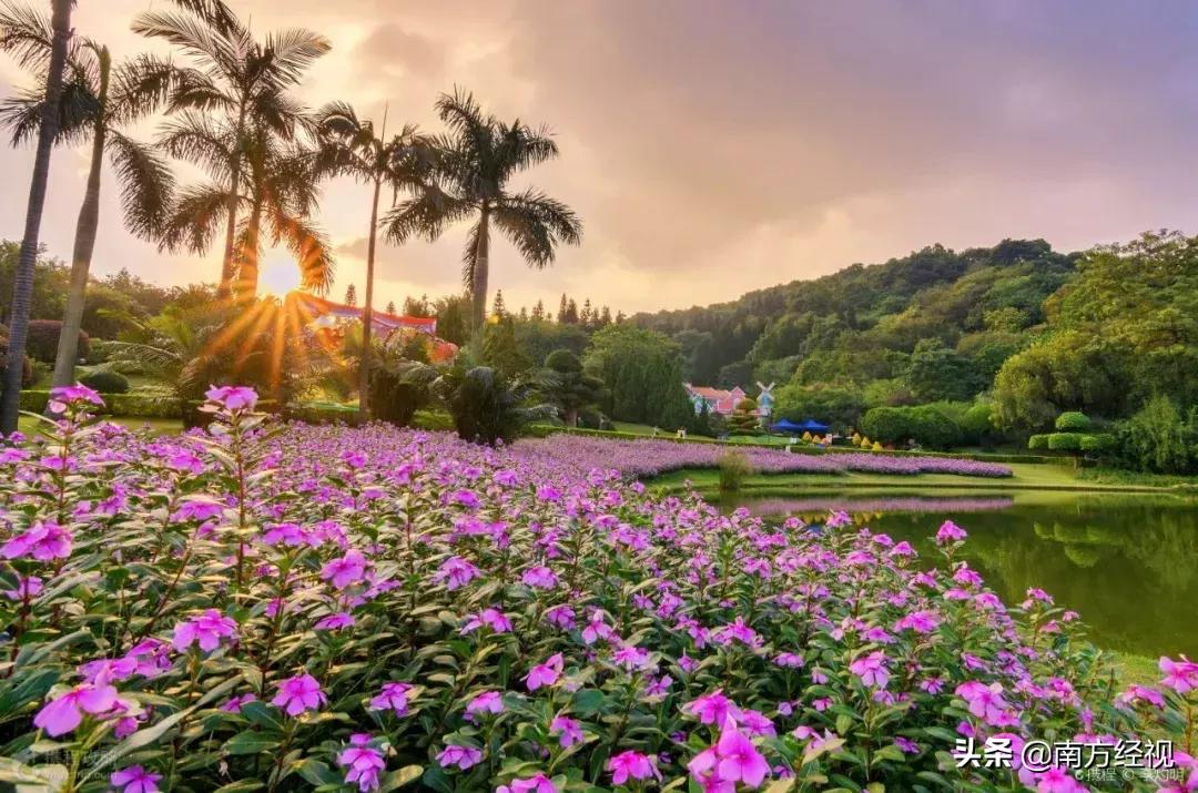 广州番禺丽江花园整体规划图,广州美林湖畔花园规划图